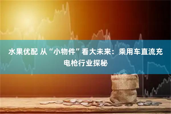 水果优配 从“小物件”看大未来：乘用车直流充电枪行业探秘