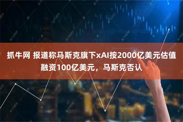 抓牛网 报道称马斯克旗下xAI按2000亿美元估值融资100亿美元，马斯克否认